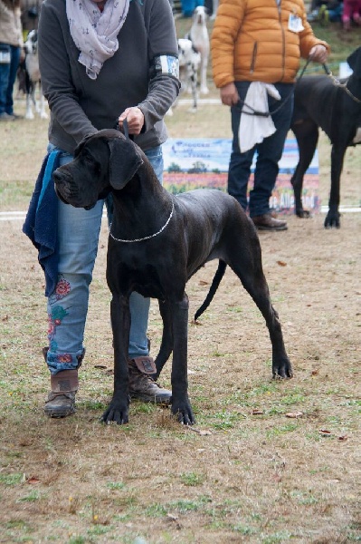 Publication : de la Galaxie Ezaï Auteur : Paula