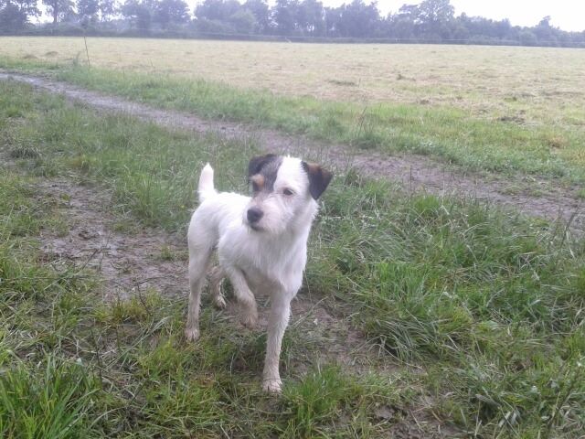 Publication : d'Ar Dervenn 