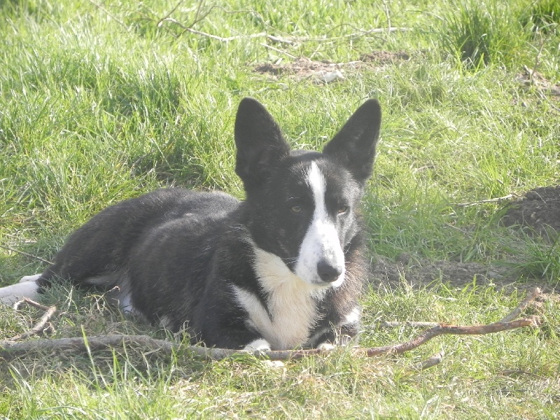 Publication : Des quatre jeudis 