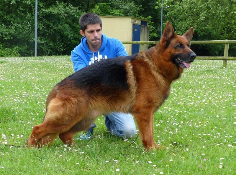 Publication : des Hauts de Fontaine 