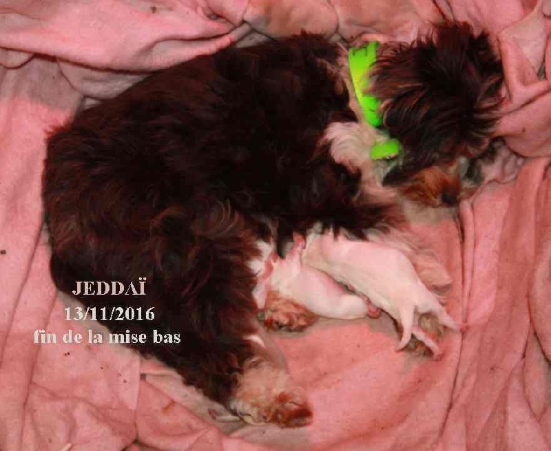 Publication : Coeur De Masai