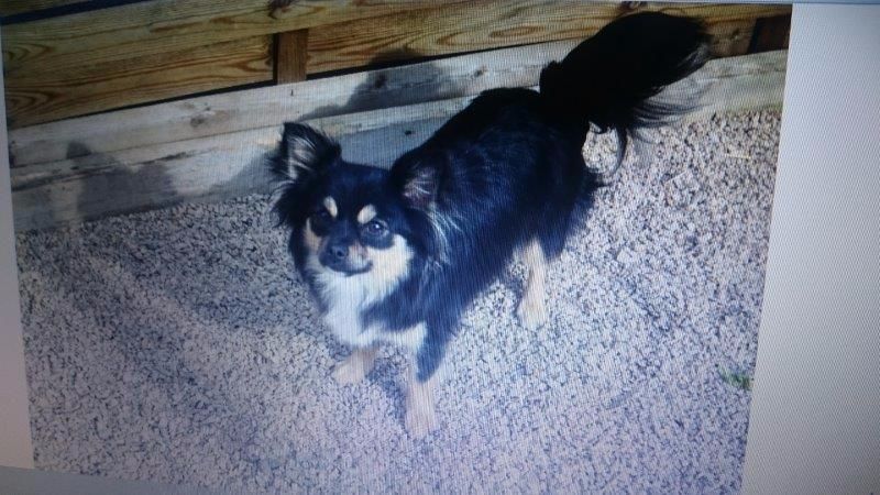 Publication : Du Val De Clavernau 