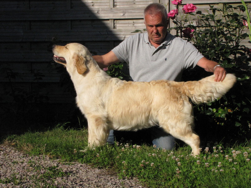 Publication : de la Cité des Etangs 