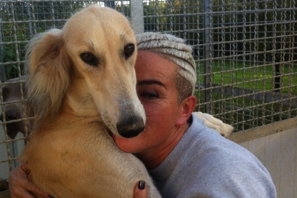 Publication : dei Grandi Grigi Auteur : Dei Grandi Grigi Kennel