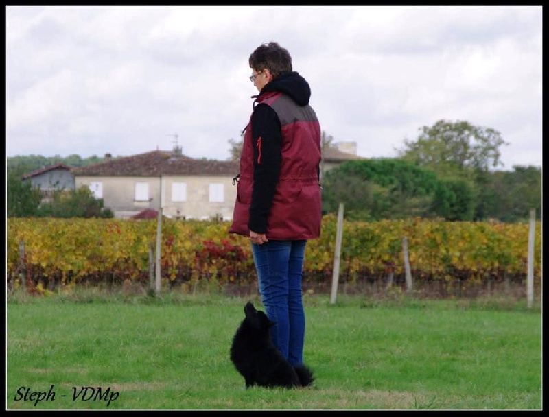 Publication : De La Petite Noria Auteur : Stéphanie Casagrande