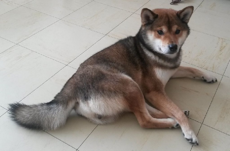 Publication : De La Vallee Du Morbras