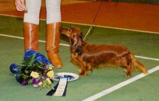 CH. Vida ventsene av leulva