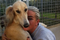 Étalon Saluki - Cacciatore (Sans Affixe)