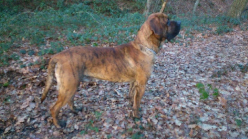 Publication : (Sans Affixe) 