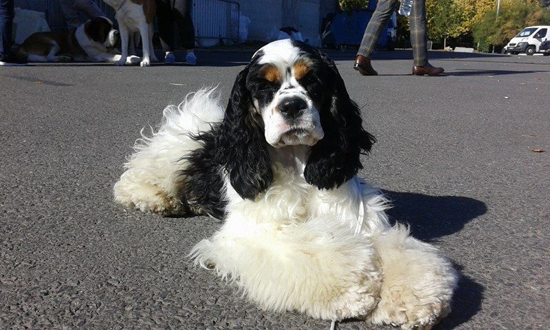 Publication : de l'Empreinte de Fanny 