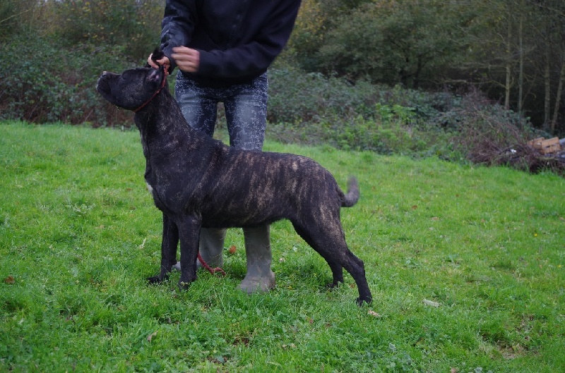 Publication : (Sans Affixe) 