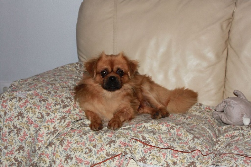 Publication : du bois des filaos