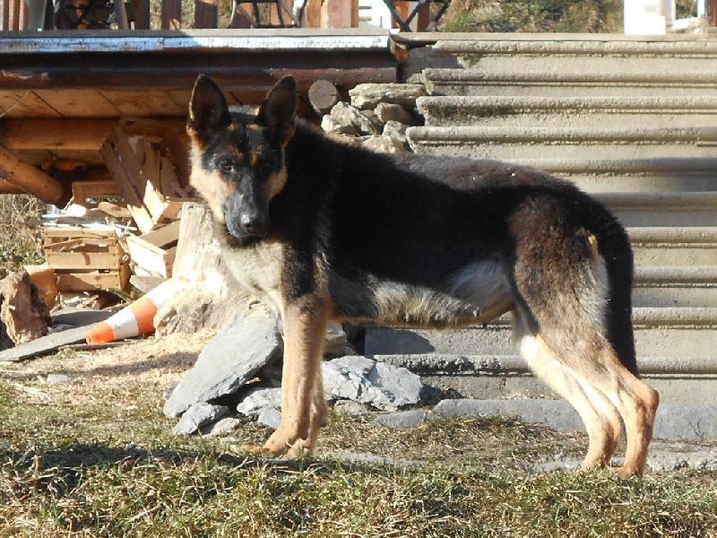 Publication : du Clos de la Vallée Blanche Auteur : boubert eric