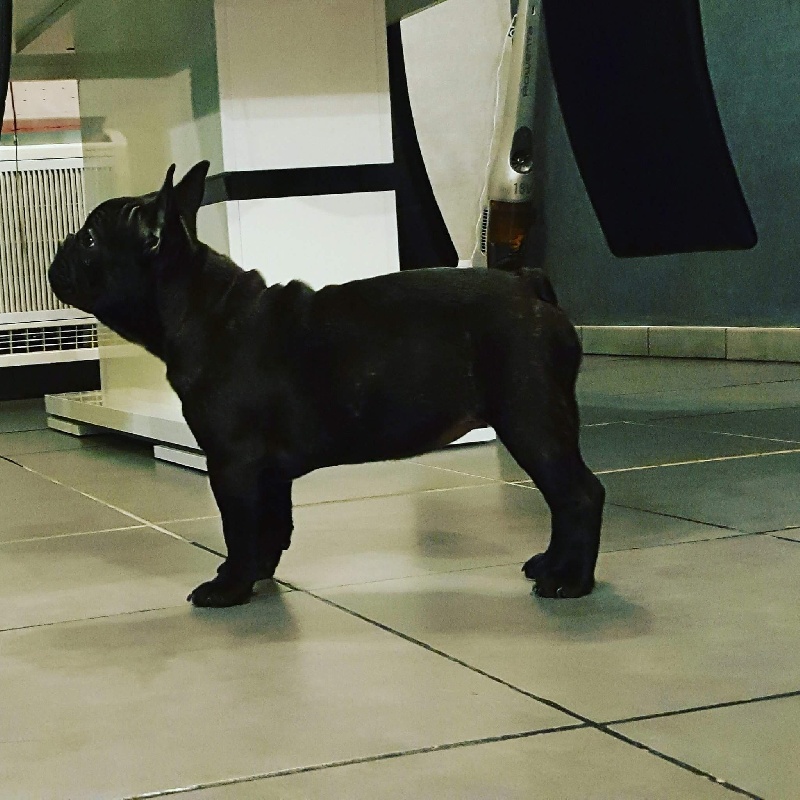 Publication : The Country Of The Angels