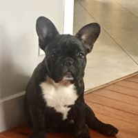 Publication : De Calabasas