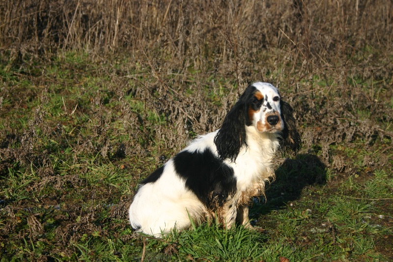 Publication : du chemin des cavaliers Auteur : Anne-Sophie