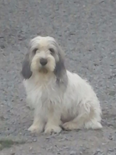 Publication : De La Baie De Sienne