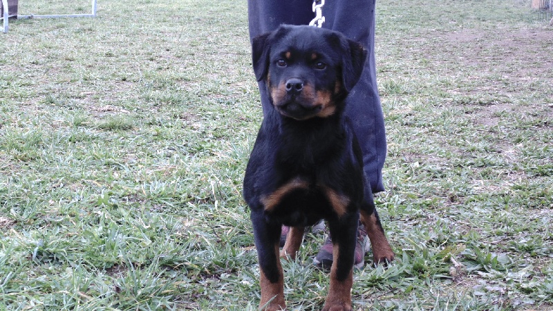 Publication : des gardiens du kirchberg 