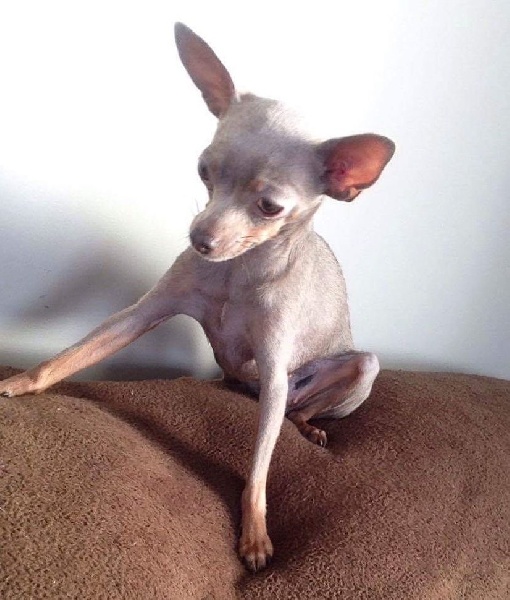 Publication : Joeberger Auteur : Johanne Bergeron