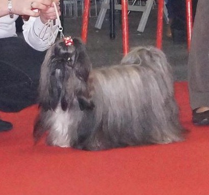 Inaya du Domaine d'Hilara