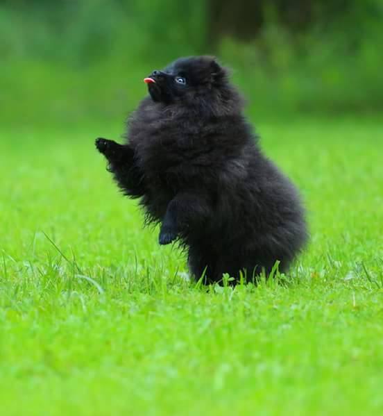 Publication : du Manoir de Leelaumarilody Auteur : Mme sylvain