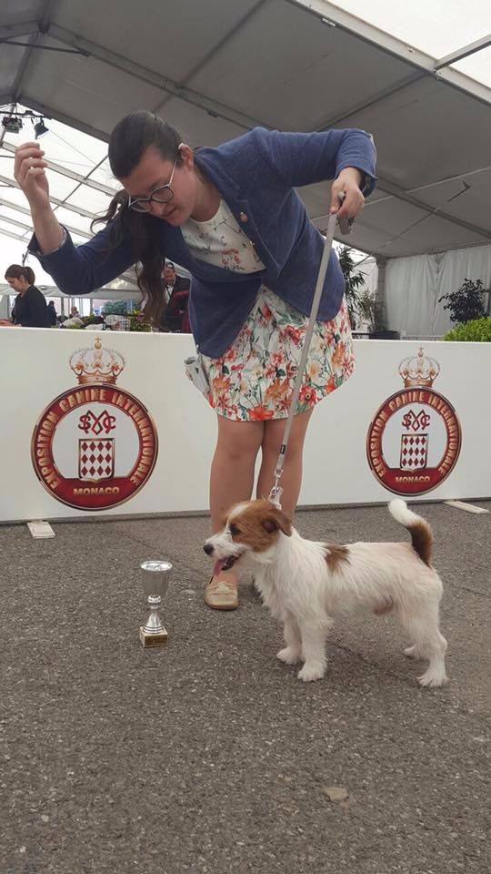 Publication : Dei Bordigotti 