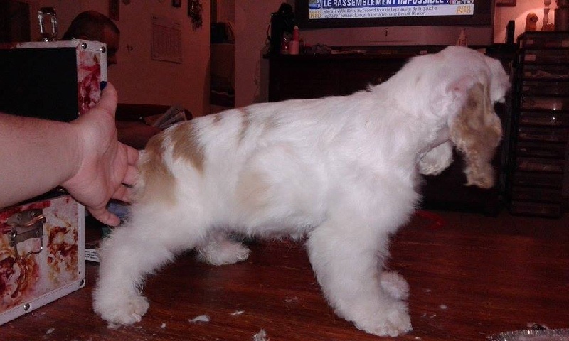 Publication : de l'Empreinte de Fanny 