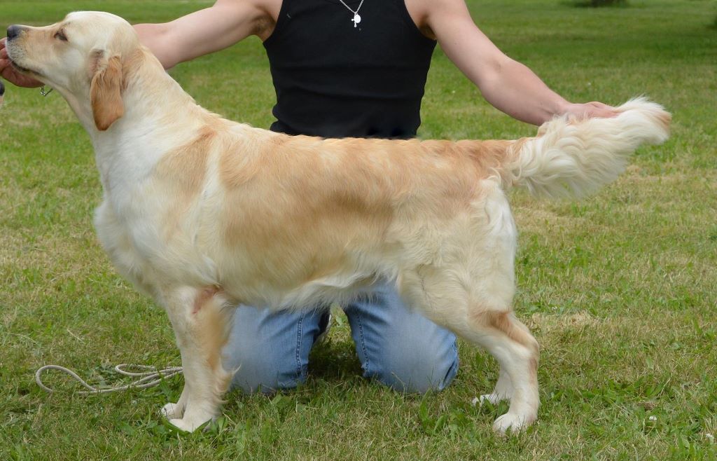 Publication : des Vignes du Broca 