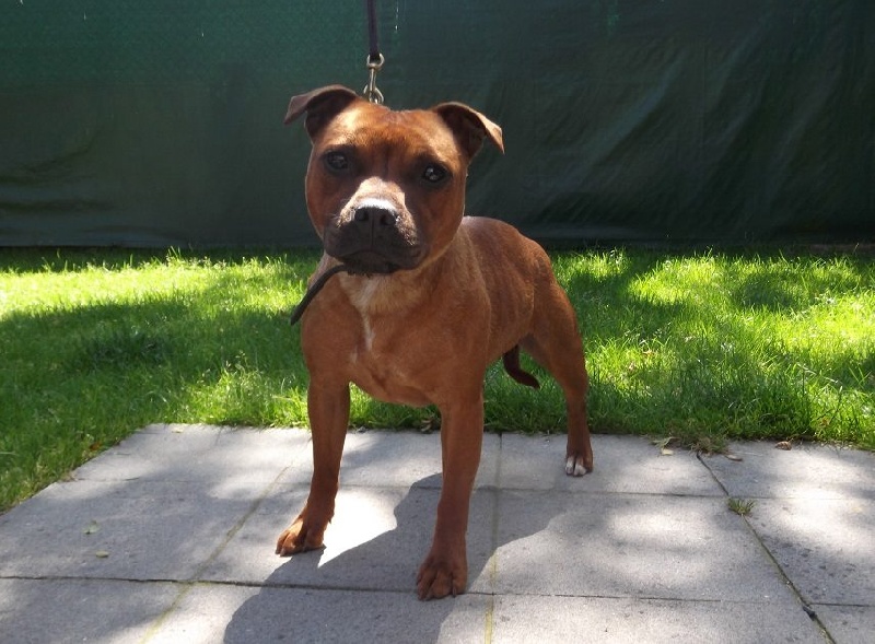 Occult rubyred sorceress of sephiroth