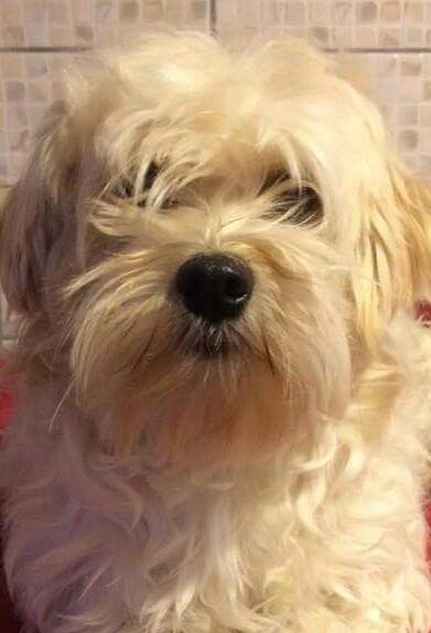 Publication : de l eternel mitness