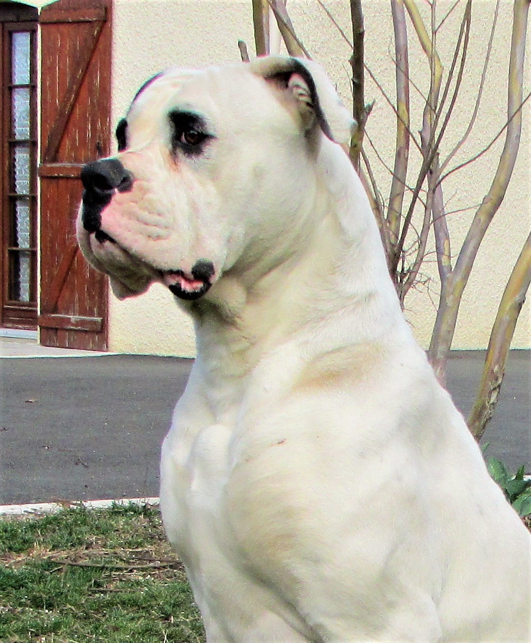 Publication : des Varennes Mystiques