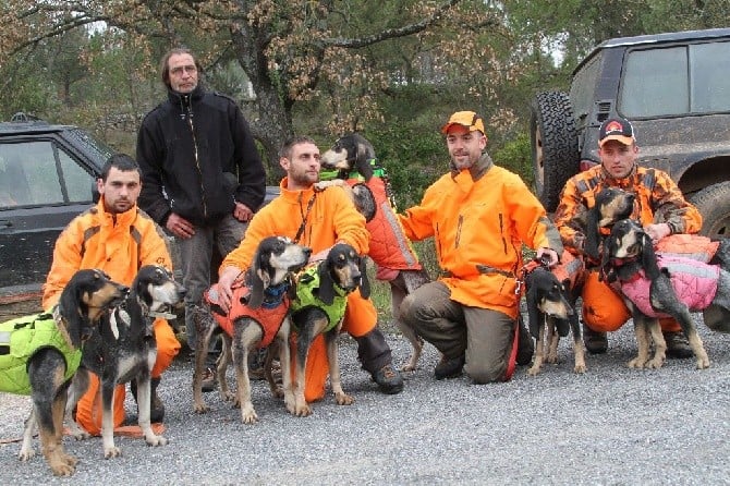 Publication : du Paummeroi Auteur : BAUDRY