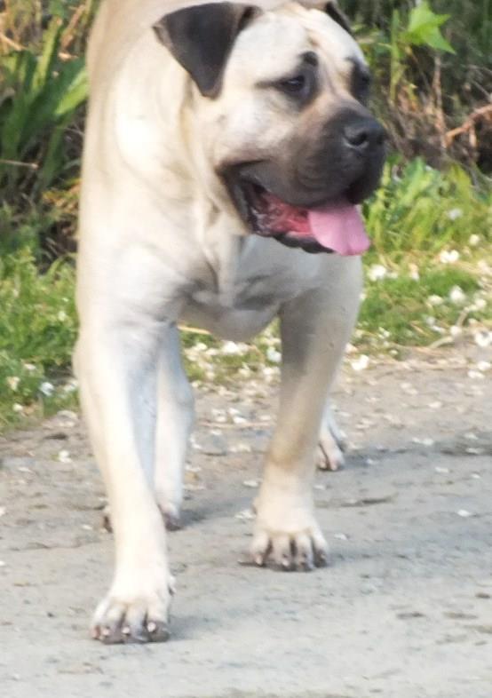 Publication : du hameau de fontenay 