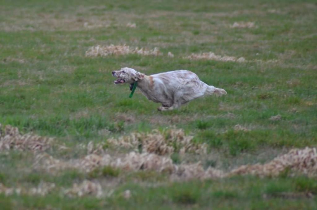 Publication : Des Bords De La Trézence