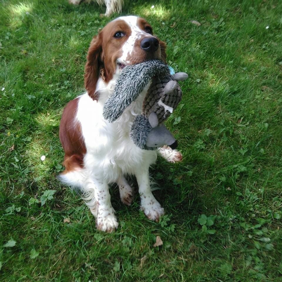 Publication : du chateau du repaire