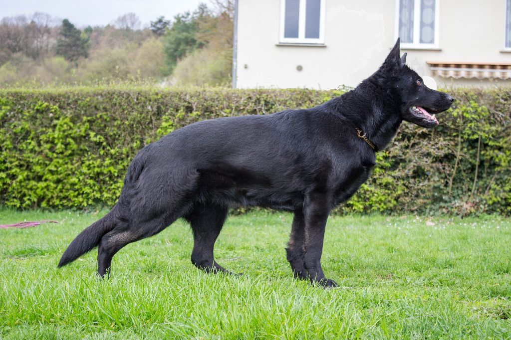 Publication : du Waldonyx