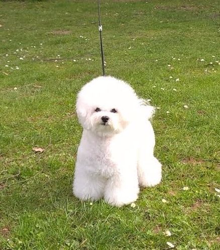 Publication : des portes de Hanau 