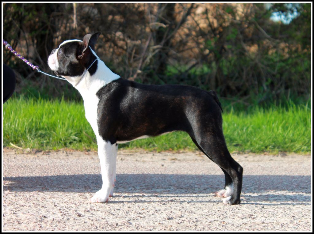 Publication : Olop Auteur : OLOP