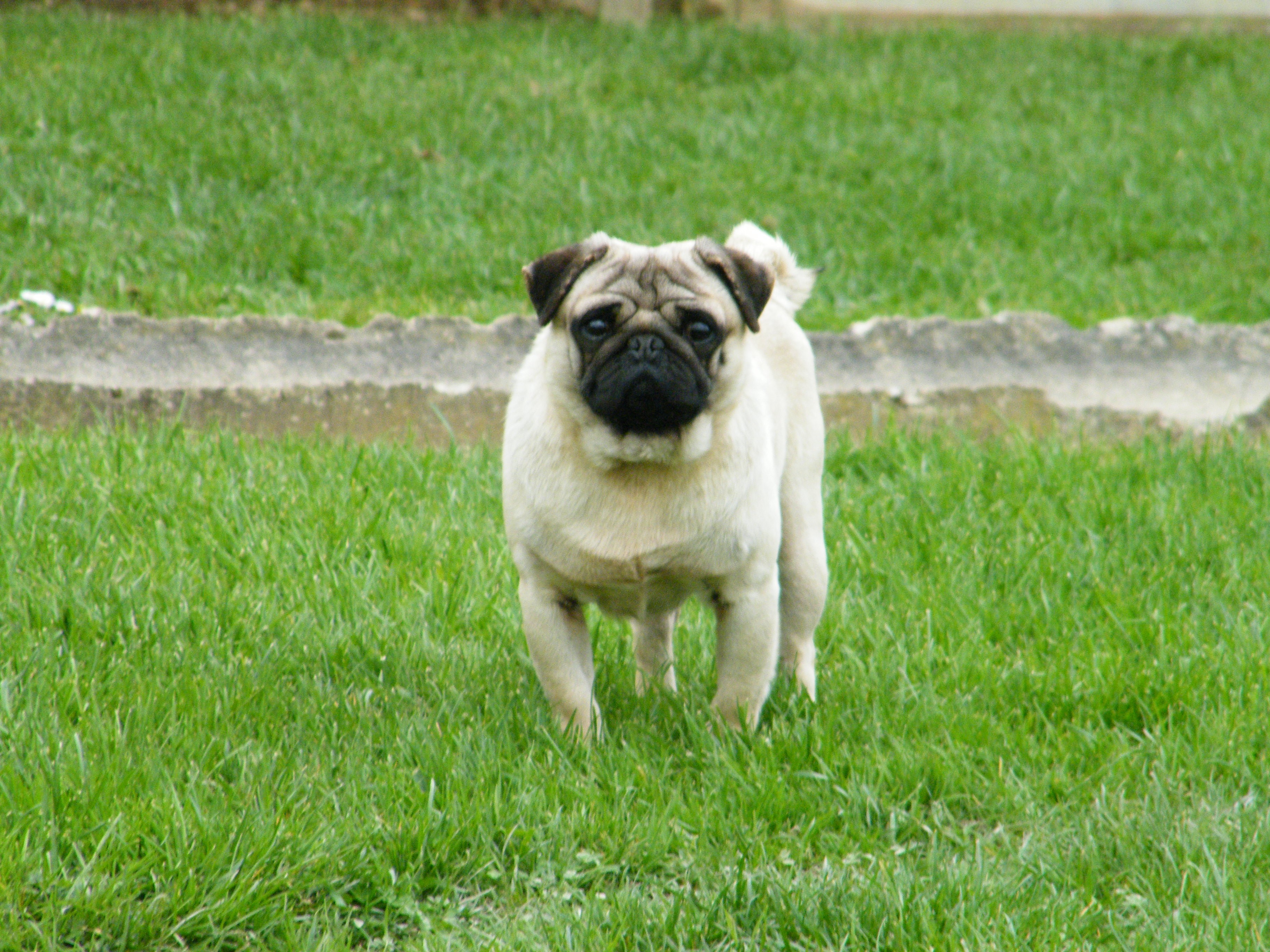 Jackson (Sans Affixe)