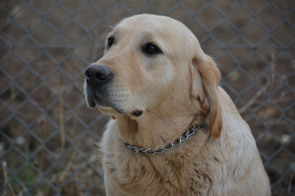 Publication : du Domaine D'Eily 