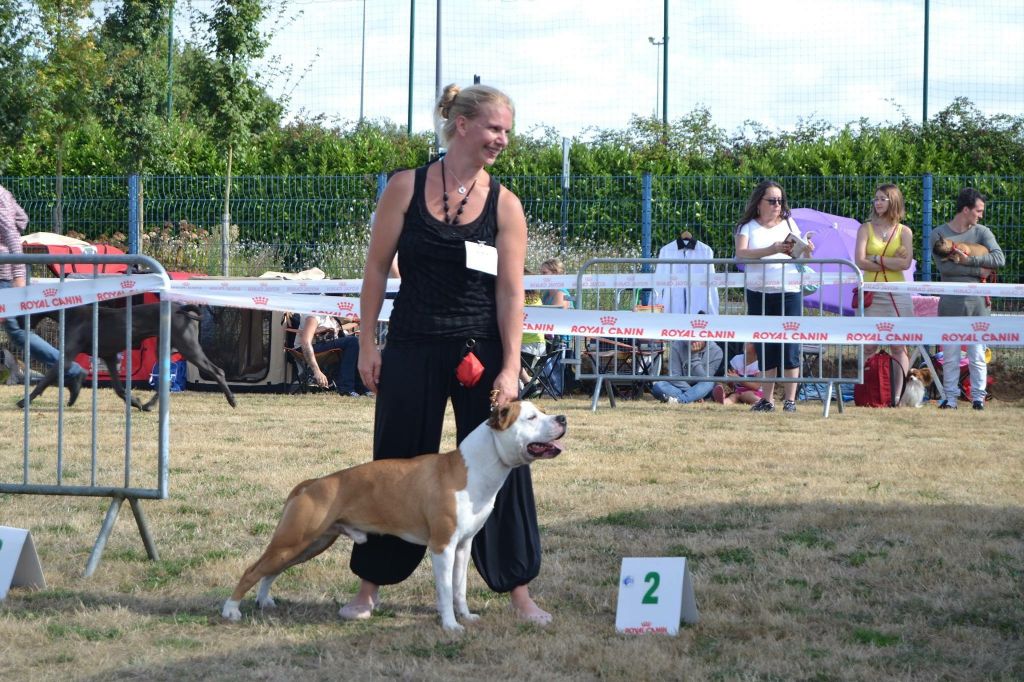 Publication : (Sans Affixe)