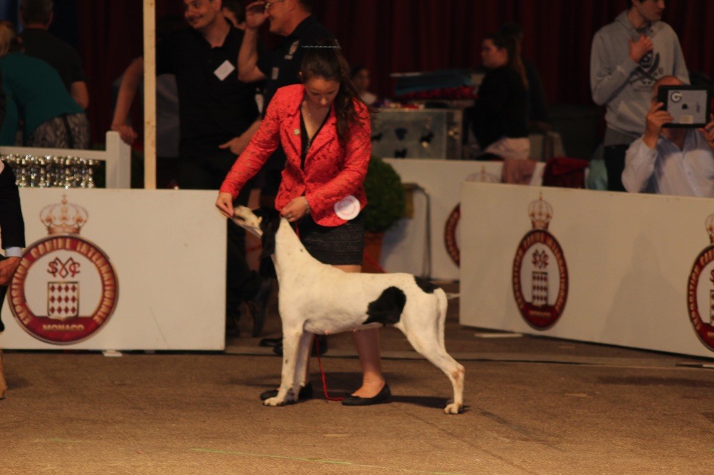 CH. Irma (Sans Affixe)