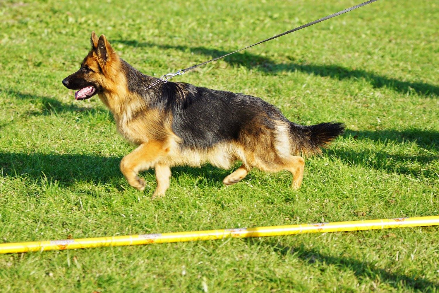 Publication : Du Territoire Des Anges 