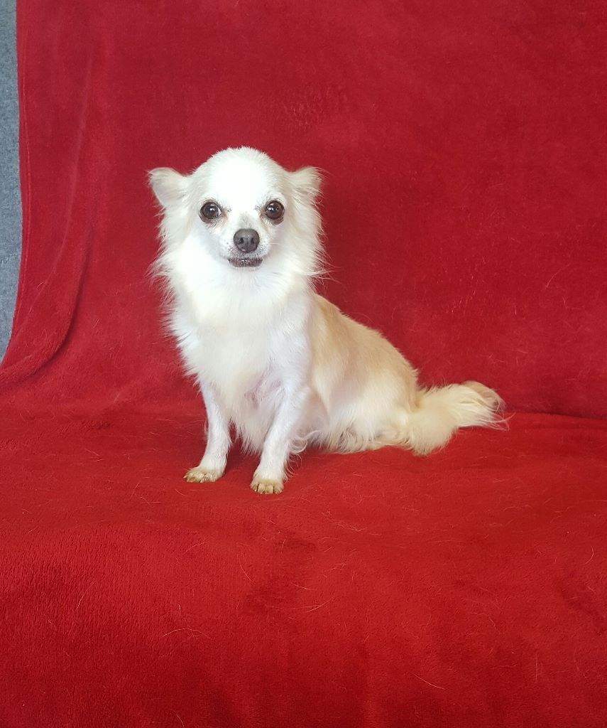 Flavie (Sans Affixe)