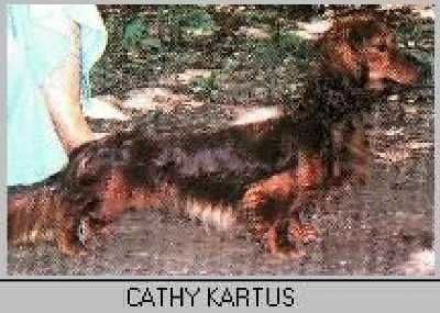 CH. Cathy kartus