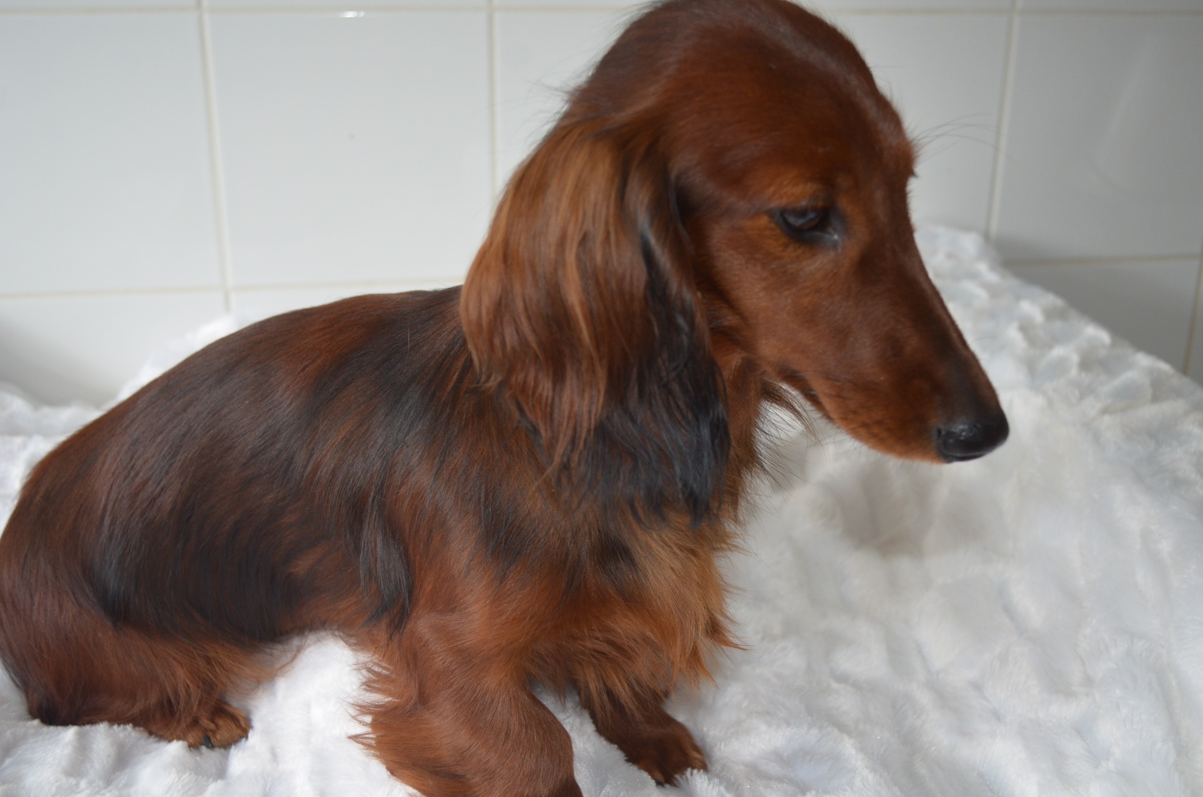 Publication : Du Clos Des Bords De Mer Auteur : quesne pierrette