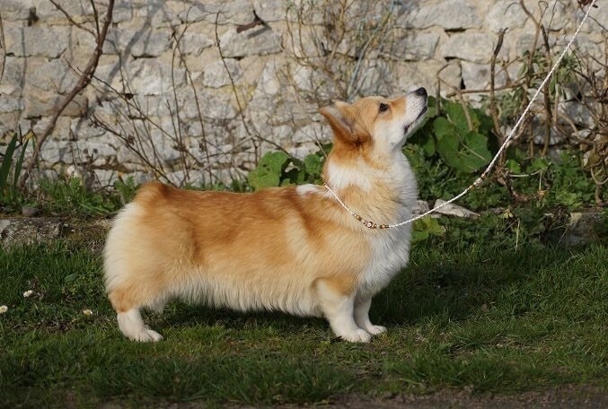 Publication : Daouphars Auteur : Daouphars