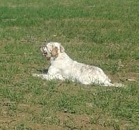 Lord des terres de lude