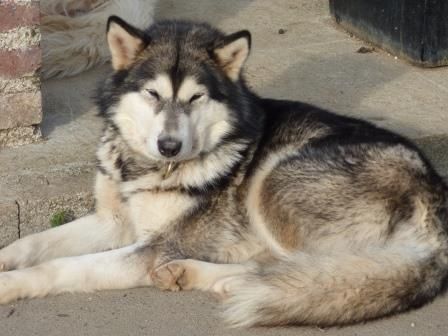  Auteur : Renaud BREZOUT