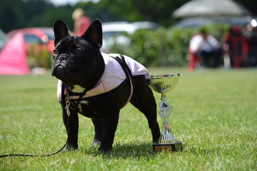 Publication : Heaven Sparks